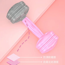 哑铃女士健身家用器材儿童小学练臂肌小哑铃1kg运动套装初学者E18