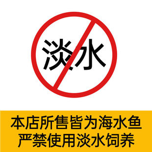 ����С���~���~�W�ں�ˮ�~��Ī�p���^�p�~�ڱ����˹�С���~���w