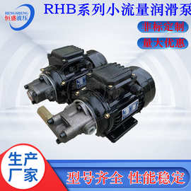 便携式RHB-2.5JZ 1.6 4JZ RHB-3.15JZ打头机小流量润滑泵电机装置