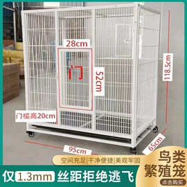 鸟笼;猫猫窝/笼/垫;鸟类