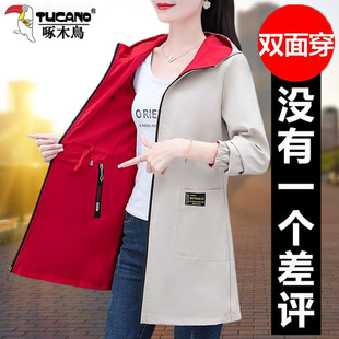 ��ľ�B�p�洩�L��Ů���L��＾2026�¿���紺���׶���������