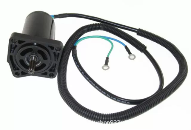 Мотор 65В-43880-10-00 Ямаха скача