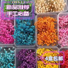 满天星干花手工材料包 新手易做永生花DIY套装 家居装饰送礼