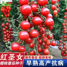 tFˮѷN }ŮNәС ̨tN