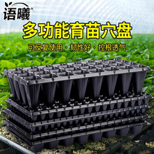 孔穴盘育种育秧盘豆芽菜蝴蝶兰秧托盘营养钵穴盘阳台平盘春季耐
