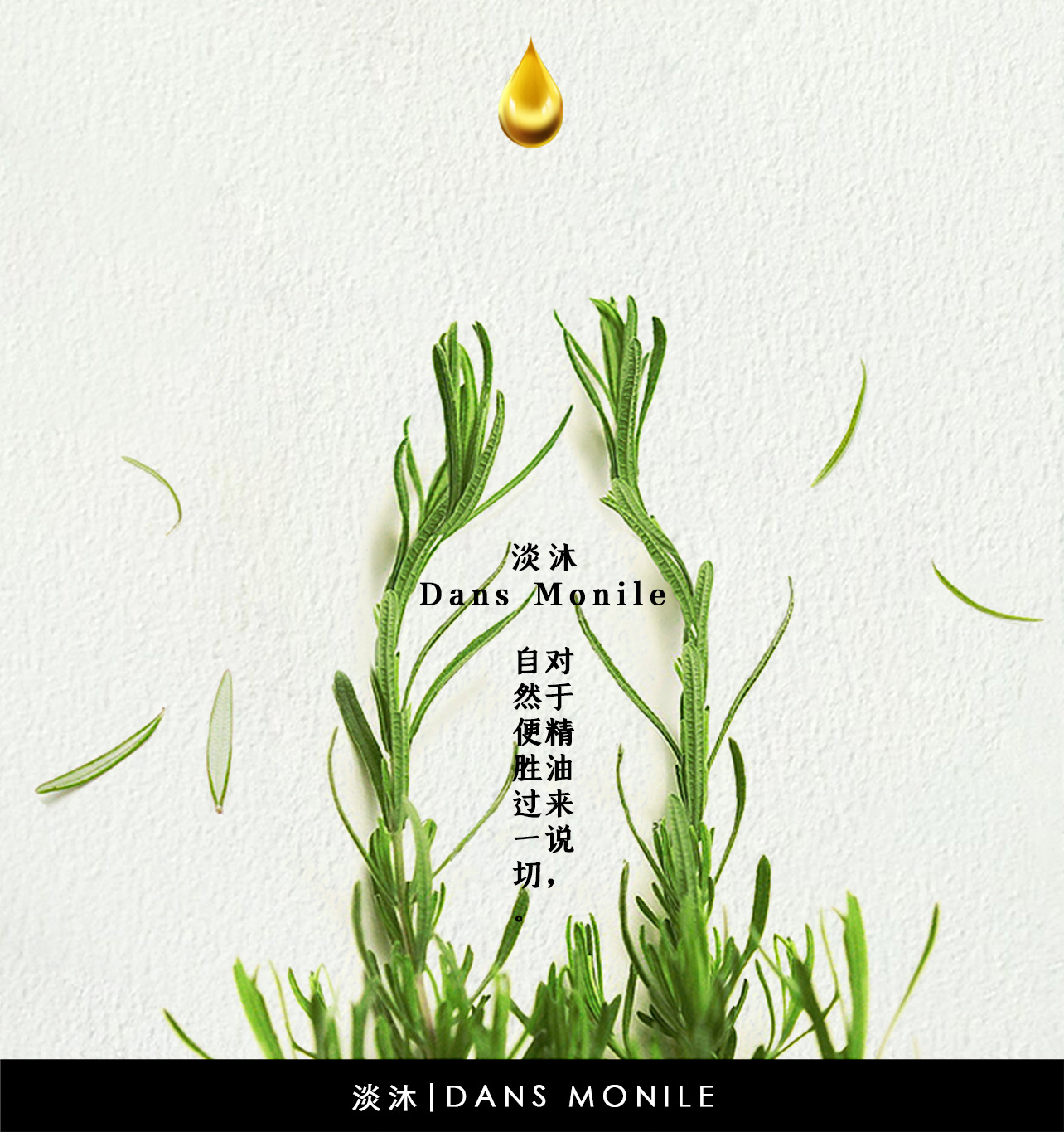 淡沐大马士革玫瑰纯露详情页-第3页_16