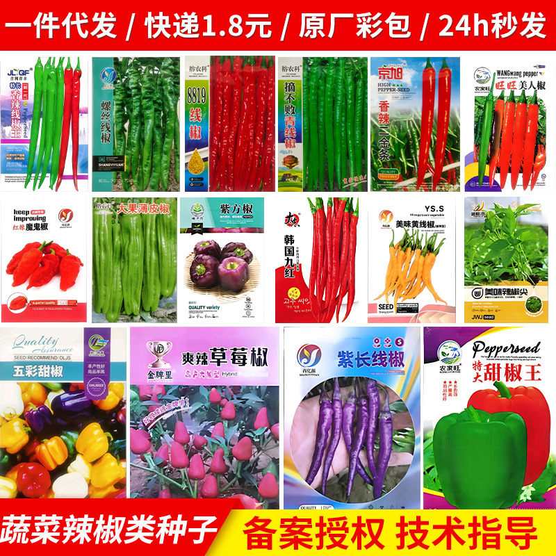 Collection of Pepper Seeds, Two Vitex Green Pepper Seedlings, Spring Balcony Potted Vegetable Seeds, Seeds Collection