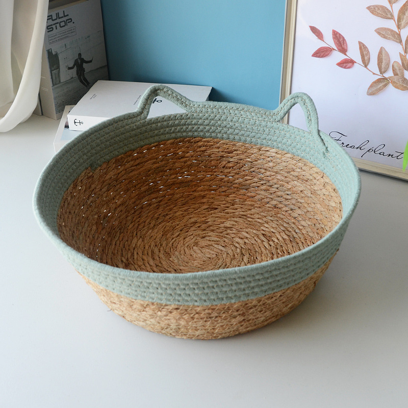 청록색 고양이 귀 소켓