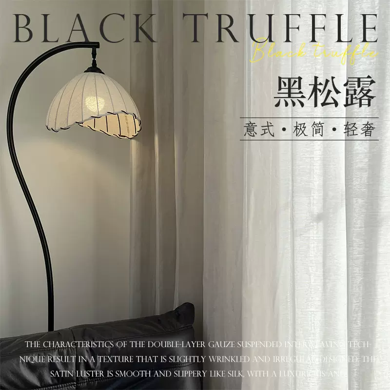 黑松露 意式极简轻奢风高级感缎面丝滑客厅窗纱纱帘透光不透人