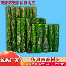 �����䱳�������̦�\���Ƥ�㙉�q��ܛľ��Ƥ�쾰�b��������l