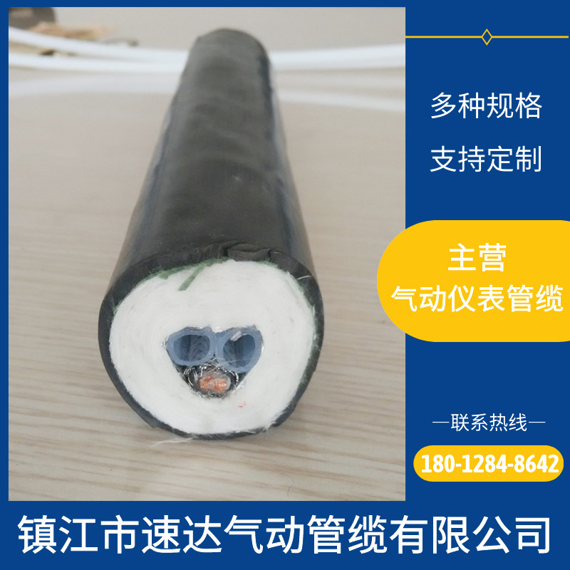 cems在线监测 烟气取样伴热分析管  双芯双伴热管