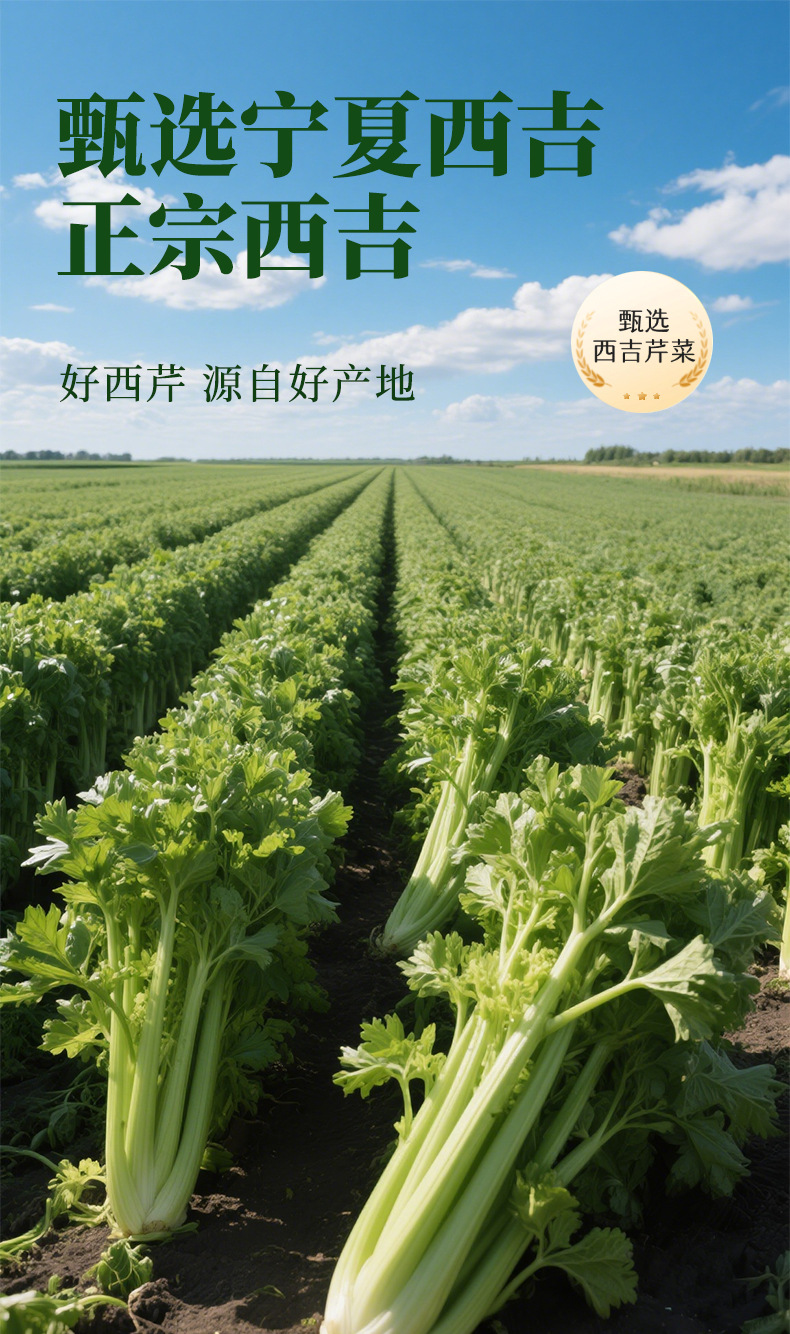 Celery Cucumber Juice Drink with Kale Lemon Jasmine Longjing Luo Han Guo 330ml Bottle quality and texture