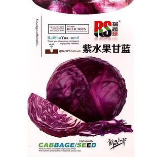 �ϸ��{���Ĳ˷N���ļ���ɫ���Ĳ��ϰ����r��ͥԺ�̨�߲˷N��