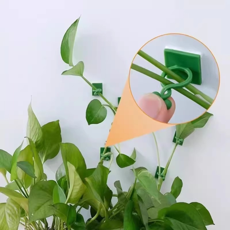绿萝爬墙固定器绿植攀爬绿植爬墙神器夹子墙上无痕挂钩粘爬藤杆子|undefined