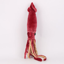 �F؛ squid plush����Ƽtɫ���~��צ�~���\ī�~ë�q��߄��﹫��