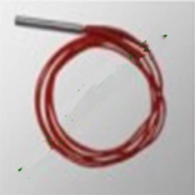 埋入式PT100铂热电阻 型号AC20-E32-10库号M387854