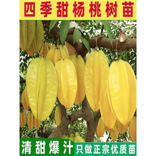 �޽������ļ�����Ҙ����ϱ������������̨ͥԺ�Nֲ��ֲ����Y��