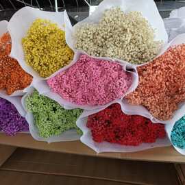 永生花满天星干花nis材料批发玫瑰花真花不凋谢仿真花批发