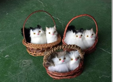 바구니 더블 고양이-커피