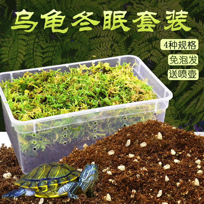 苔藓椰砖乌龟过冬神器冬眠椰土专用巴西龟垫材保温爬宠虫饲养箱