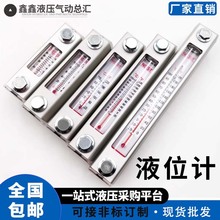 液位计油位计水位计液压油箱油标YWZ-80T100T125T127T150T200300T