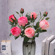 ���滨���W��@õ��ٻ�ĵ�������ҾӲ�����ה[�O��Y�����b�