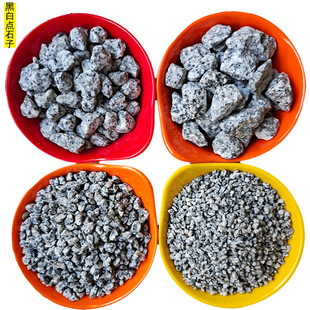 �����ڰ��cʯ�� ���̽��BͥԺ�·�b��û����ҵ[ʯ ֥�����ʯ