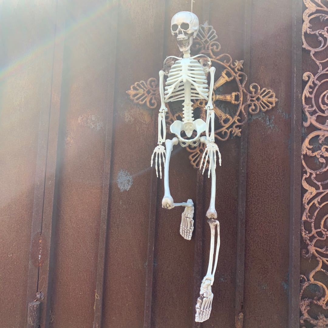 Halloween esqueleto de plástico esqueleto de plástico tamaño de niños esqueleto humano decoración de casa embrujada colgar props fantasmas al por mayor