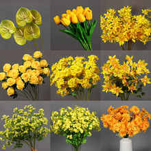 ���Sɫ���滨��c��픻��Ļ�Y�����b��ٻ����Ų廨���Sɫ��ˇ