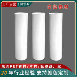 工厂供应pet白色卷材吸塑包装pet磨砂片材颜色吸塑盒PVC卷材