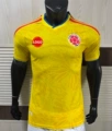 2526 player edition-colombia home
