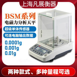 ��׿��BSM�����ƽ������ƽ0.0001g0.1mg�f��֮һ��0.001g1����