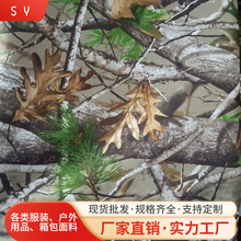 �L�ڹ���ɭ�օ����Բʘ��~�Բ�ӡ���� ��ˮ܊Ӗ�������������