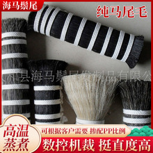 厂家供应马鬃尾  制刷业动物马鬃毛  高温蒸煮多种规格马尾毛