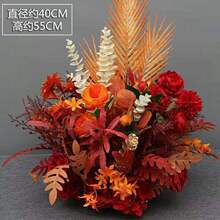 ¿c滨ȼ軨T̨·̨cƷ