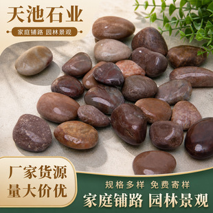 �tɫ�Z��ʯ��Ȼ����tʯ�^ͥԺ�·�@���쾰�~�׻������tɫʯ�^
