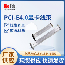 PCI-E4.0�@�������C��֧���@�����L���m�ø��NPCIE�O����@��