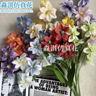 Դ�^�S�����m���滨��Y�ø߼����bɻ��ҾӔ[���[�������Ĕz��
