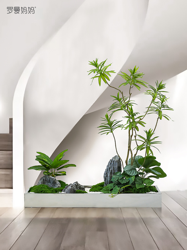 Small Plant Landscaping, Lily Bamboo Potted Green Plants, Shopping Mall Window Displays, Floor-Standing Landscape Bonsai Small Plant Landscaping, Lily Bamboo Potted Green Plants, Shopping Mall Window Displays, Floor-Standing Landscape Bonsai