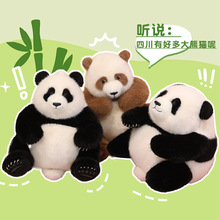 Ʒ��������؈ë�q��߹��д���؈���惺ͯ���նY����ż����Ů����