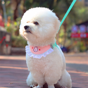 Dog Traction Rope Vest-style Anti-leashing Puppy Strap Bitter Bear Teddy Dog Walking Rope Chest Back Cat Rope Anti-breaking Dog Rope