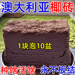 Australian Low-Salt Universal Coconut Brick Nutritionally Compressed for Growing Flowers and Vegetables, Healthy Soil Cultivation, Preferred Direct Delivery