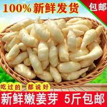 �н��۽����r�۽�ѿ�ݲ��н�С�۽�ѿ�tѿ�����r���������ƽ�5��