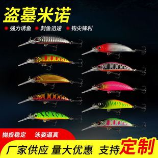 Japanese IMA50S with Submerged Mino New Tomb Raiding Mino Luya Fake Fish Bait Hard Bait