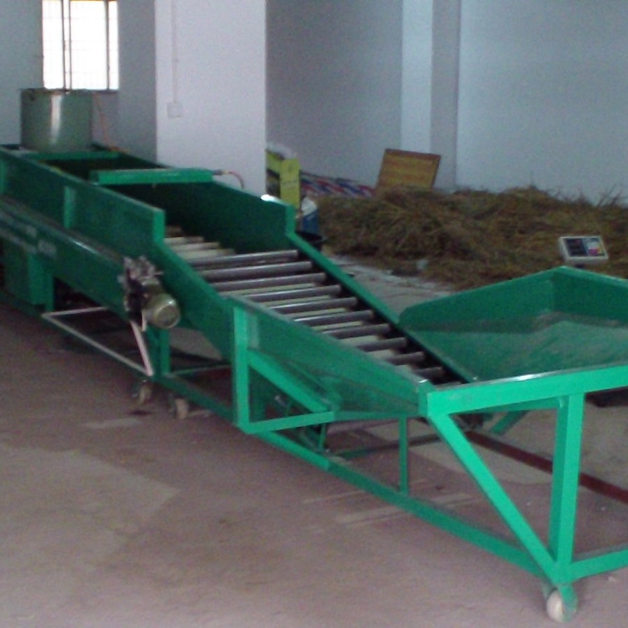 梁平柚子清洗机 丰都红柚清洗机 蜜柚清洗机 重庆方广柚子清洗机