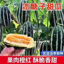 ����� ��ϷN������������ļ��N����С���̨���Թ��߲˷N��