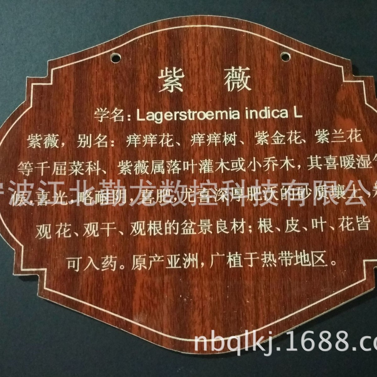 厂家直销校园树木挂牌，植树节树牌