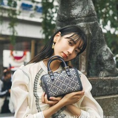 TB春の新型ボストンブルーブラウンのキャンバスはミニ枕を持っています。