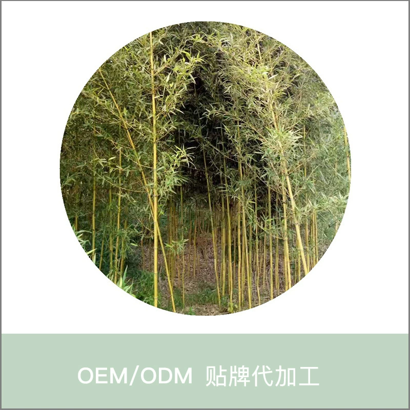 Стройные жесткие саженцы бамбука в горшках для адаптации к кислой почве к нейтральной почве ранние садовые саженцы бамбука Новые товары озеленение двора зеленый бамбук