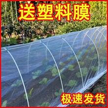 ��ٛ������Ĥ��С�����r�Ï��ܼ����r�ù����߲˼��ӱ��ر�ů